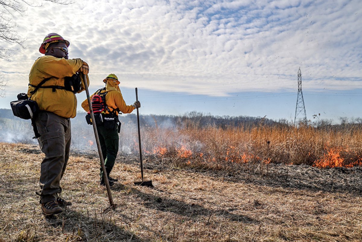 We have a mission of blending tradition with innovation for a sustainable future! Harnessing the power of fire control, prescribed burns, a technique inspired by Native American traditions, helps us revive native grasses, and prevent erosion. 👉 🔥 tva.me/HE8B50Rxe2A 🔥