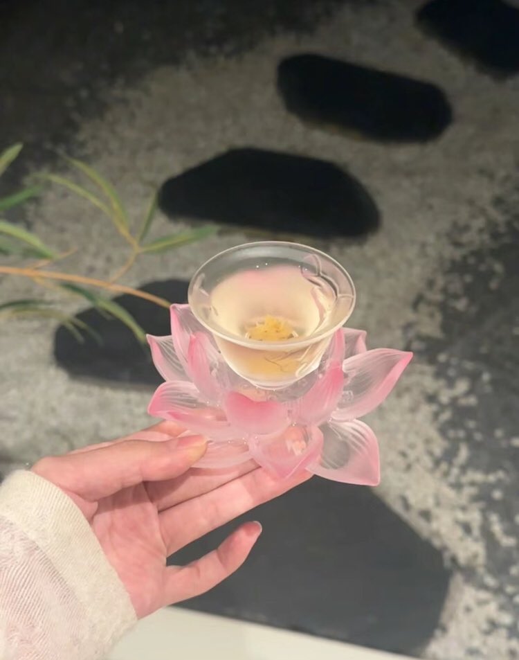 lotus cup