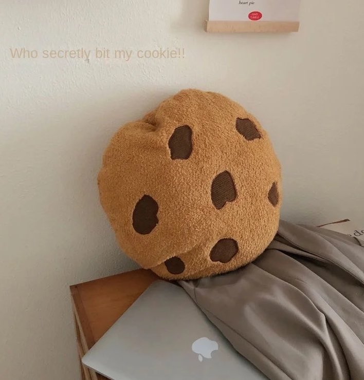 Chocolate chip cookie pillow 🍪
