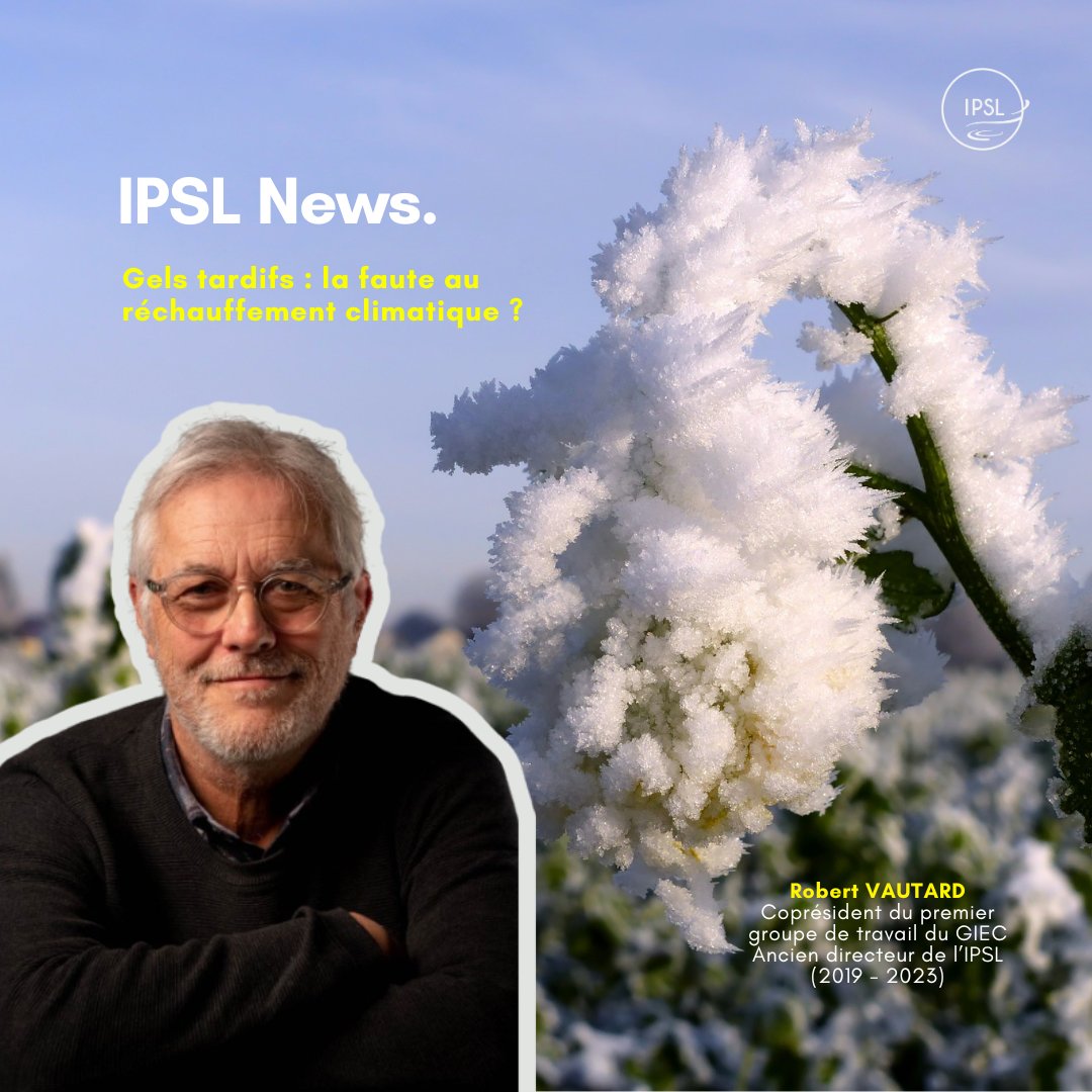 🎙️ #IPSL_News ❄️🌳Gels tardifs : la faute au réchauffement climatique ? Le problème ne vient pas des gels tardifs, mais des gels en période de croissance, une fois que les bourgeons et les fleurs ont démarré sur certains arbres. 🎧tinyurl.com/3enf8cvd @RobertVautard @IPCC_CH