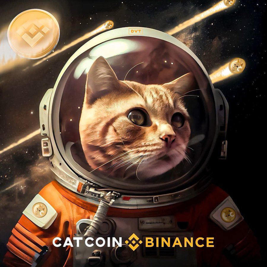 I always have faith in #catcoin and one day I will never see 9 zeros again, #Catcoin will only be 5 to 7 zeros in the short term. What do you think about this? Please follow me.