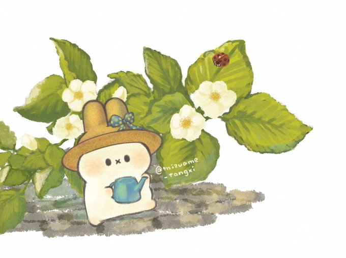 「watering can」 illustration images(Latest｜RT&Fav:50)