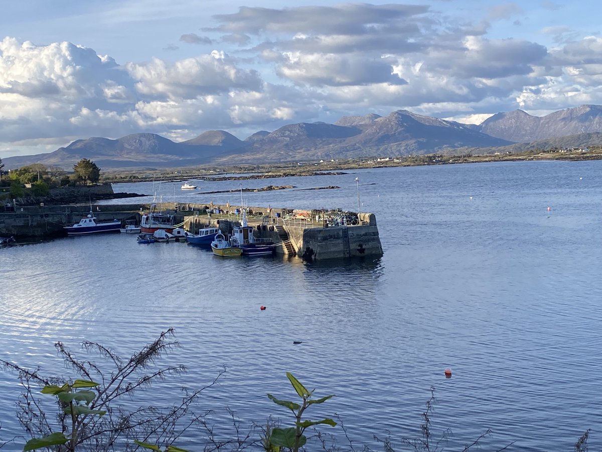 A visit to Connemara last week. Birding highlights were passage Whimbrels, Chough and both Summer plumaged Longtailed Duck and Great Northern Divers.😊👍