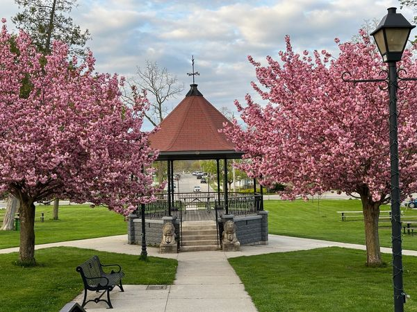 inportdover's tweet photo. Beautiful #treeblossoms @inportdover- pic by Dover Sands Cottages. https://t.co/bHnM311imh