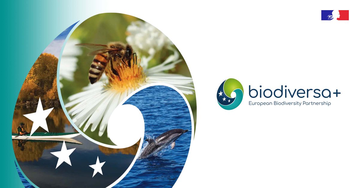 🇪🇺 A l'occasion de la Journée de l'Europe, on vous présente Biodiversa +, le partenariat européen pour la biodiversité Il vise à améliorer les connaissances et la surveillance de la biodiv pour en augmenter l'impact sur la société et les politiques 👉 professionnels.ofb.fr/fr/Biodiversa-…