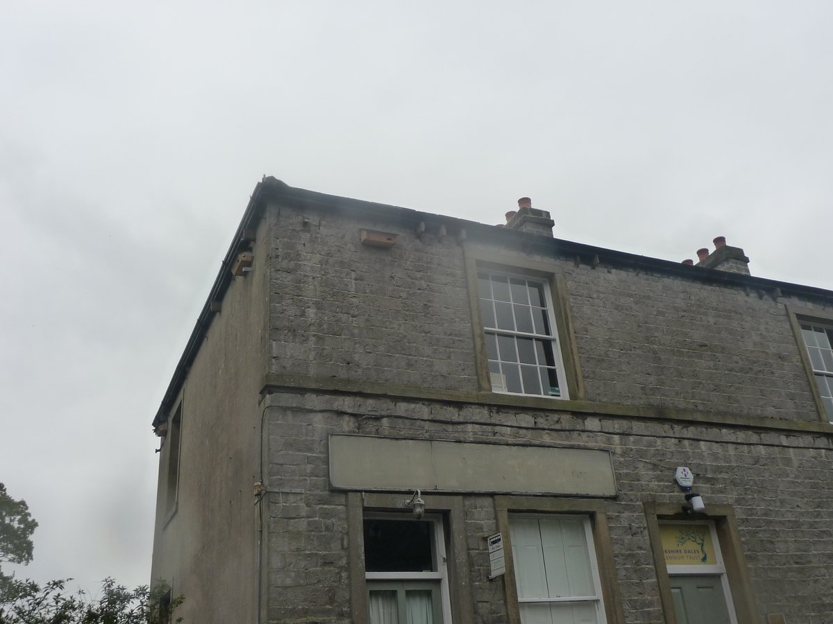 As well as my 1st #Swifts of the summer, I also found an outbreak of Swift boxes in Clapham, N Yorks 💪🙏 - >20 boxes as a result of a local Swift project. Brilliant to see @ClaphamShop @ydmt & @GlencroftUK all joining in👏 @yorkshire_dales @WriterHannahBT @AceSettle @Ally_Lemon