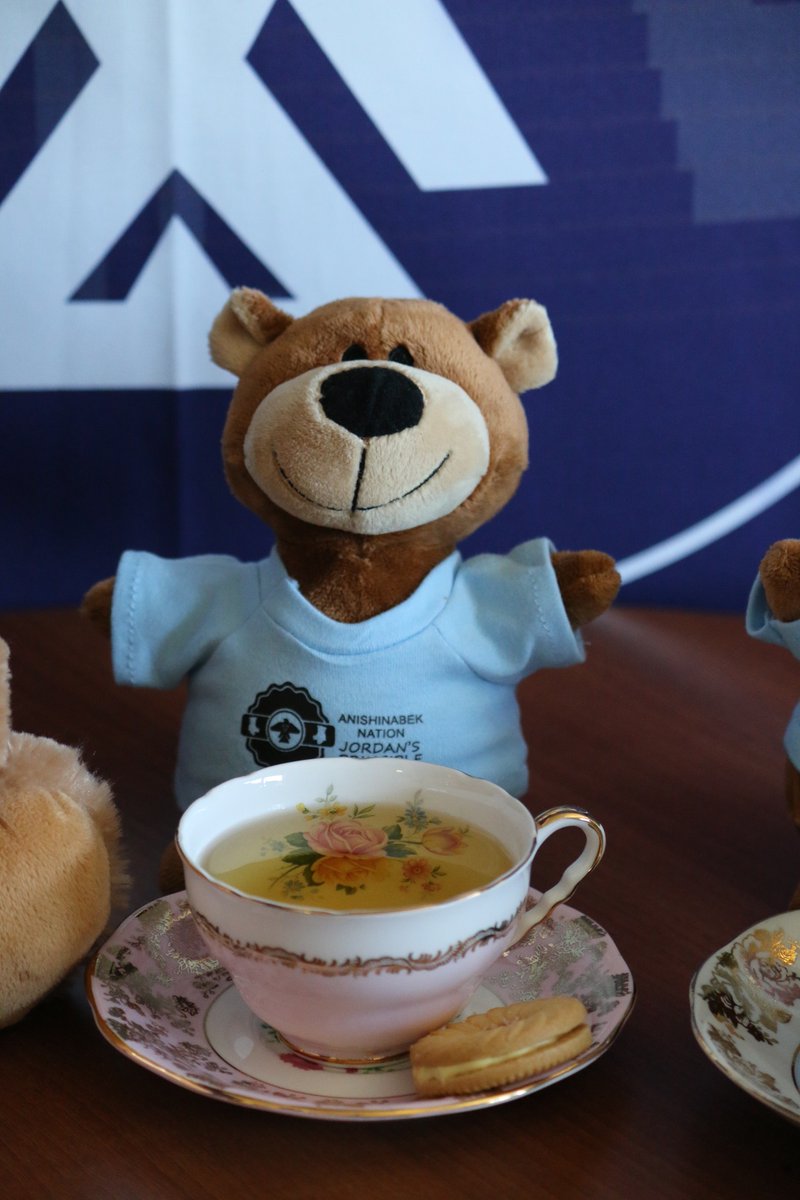 May 10th is Spirit Bear’s BEAR-thday and an important date in Canada's history of Jordan’s Principle! To learn more about how you can participate on this BEARY important day, please visit: fncaringsociety.com/jordans-princi… #JordansPrinciple #BearWitnessDay