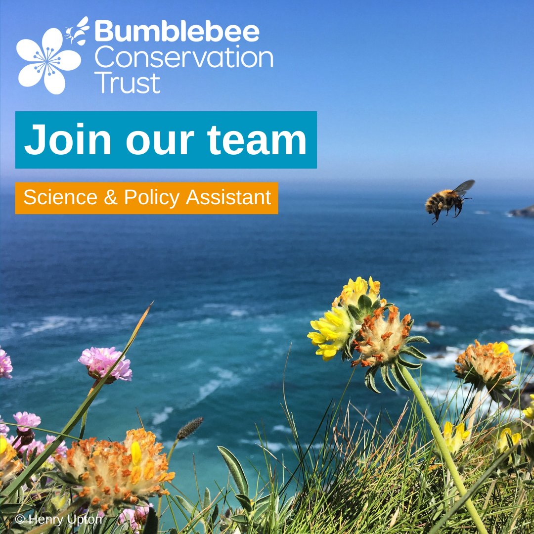 Closing soon 🐝 We are looking for a Science & Policy Assistant to assist with the development and delivery of our science and policy work. 🕒 Part-time, permanent 📍 Within travelling distance of the Trust’s Stirling office 📅 12 May Full details 👉🏼 ow.ly/aUqh50RlVOM