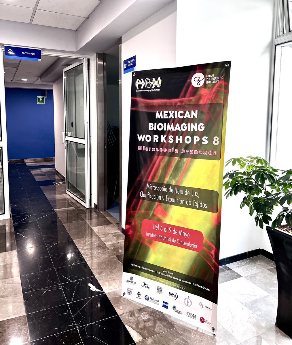 It’s here!! The 8th Mexican Bioimaging workshops #MBW8. Thank you #incan #chanzuckerberginitiative #mexicobioimaging. Eager to learn more about #lightsheet #microscospy