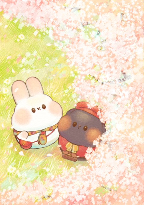 「cherry blossoms」 illustration images(Latest｜RT&Fav:50)