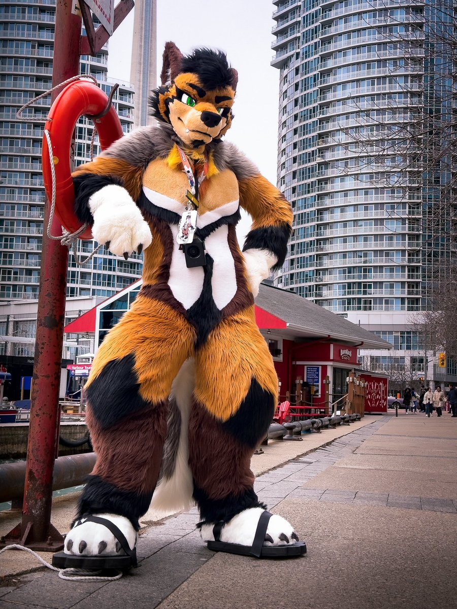 Big dog 🦴 coming to a Big city 🏙️ near you 📸: @AuburnFx