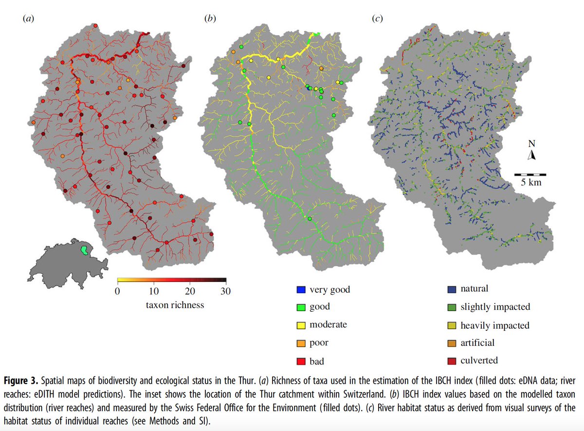 Just out @royalsociety special issue: Measuring state of aquatic environments using #eDNA. 🔬🧬🐞 We demonstrate how to spatially upscale #ecological #indices based on #eDNA, allowing accurate evaluation at #catchment scale. #Aquatic #Biodiversity royalsocietypublishing.org/doi/10.1098/rs… 1/n