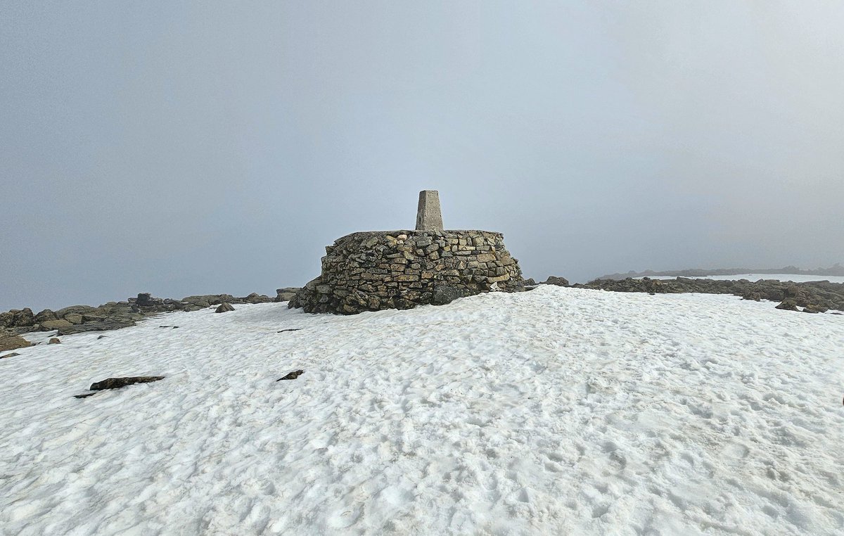 Ben Alden tweet media