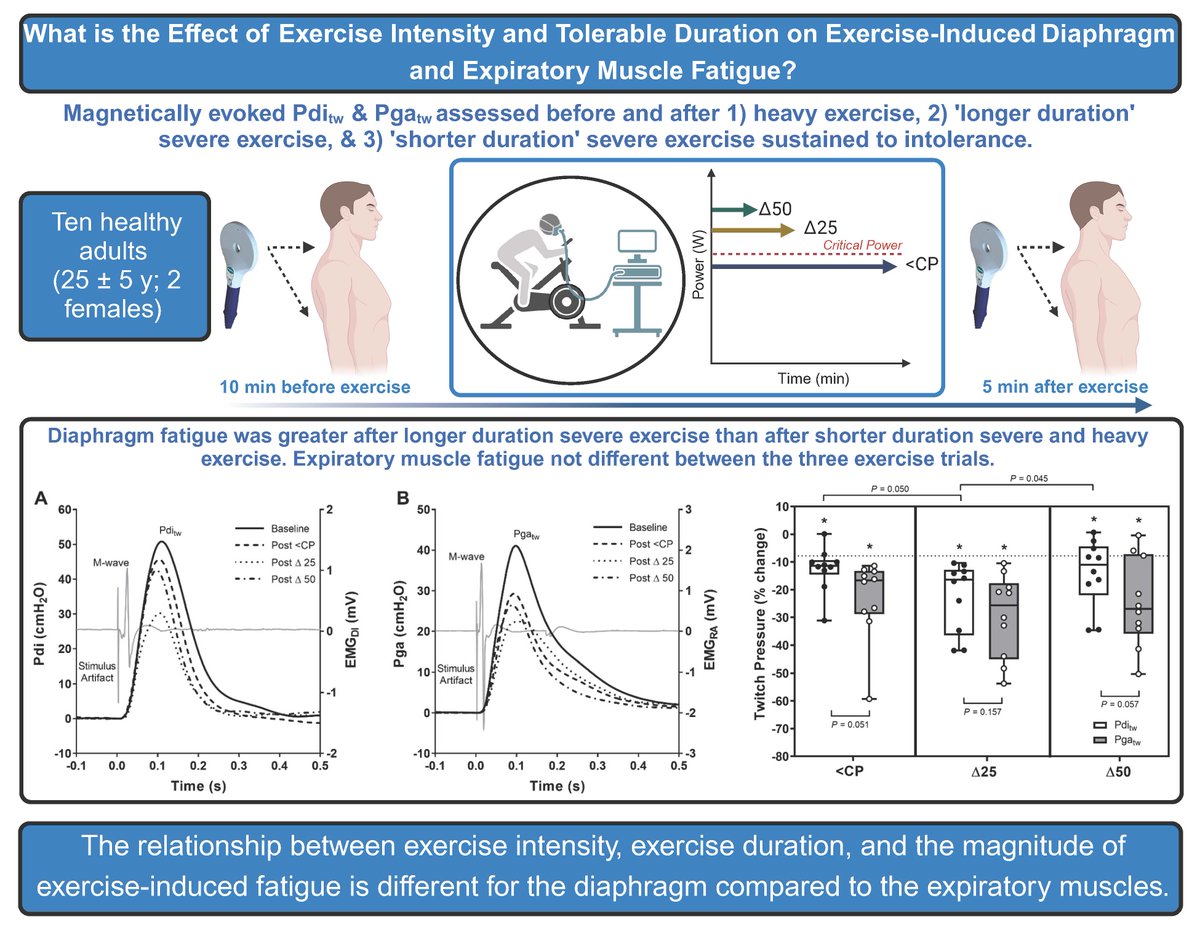 #ArticlesInPress: Differential Effects of Exercise Intensity and Tolerable Duration on Exercise-Induced Diaphragm and Expiratory Muscle Fatigue Tim A. Hardy, et al. ow.ly/eW8L50Rv1cW #JAPPL #DiaphragmFatigue #ExerciseIntensity