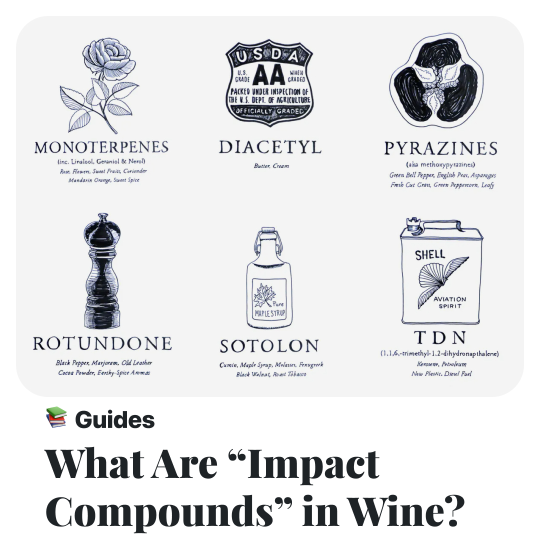 Anyone can improve their sense of taste by learning to identify wine’s aroma compounds. Comment below if you can name one of the six impact compounds we include in the article. Find out more -> loom.ly/M68jKIw #winelover #aromas