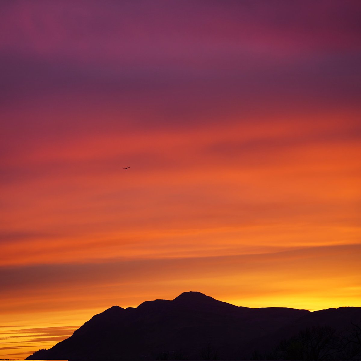 Simple sunset magic - have a wonderful new week, friends 
#ScotlandisNow #StormHour #photography #photooftheday #landscape #OutAndAboutScotland #landscapephotography 
@VisitScotland @ScotsMagazine #friends #ThePhotoHour #stvsnaps #beautiful #sunset