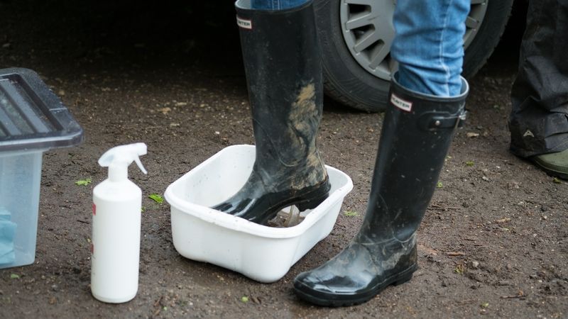 Since 2000 a new tree pest has been found in the UK every 1.4 years ☹️ 
#TreeDiseases like Ash dieback are too common. Please
🌱 Only purchase trees grown in the UK  
⚠️Report threats/pests via TreeAlert buff.ly/40eLQip  
🥾 Keep feet clean. #KeepItClean #PlantHealthWeek