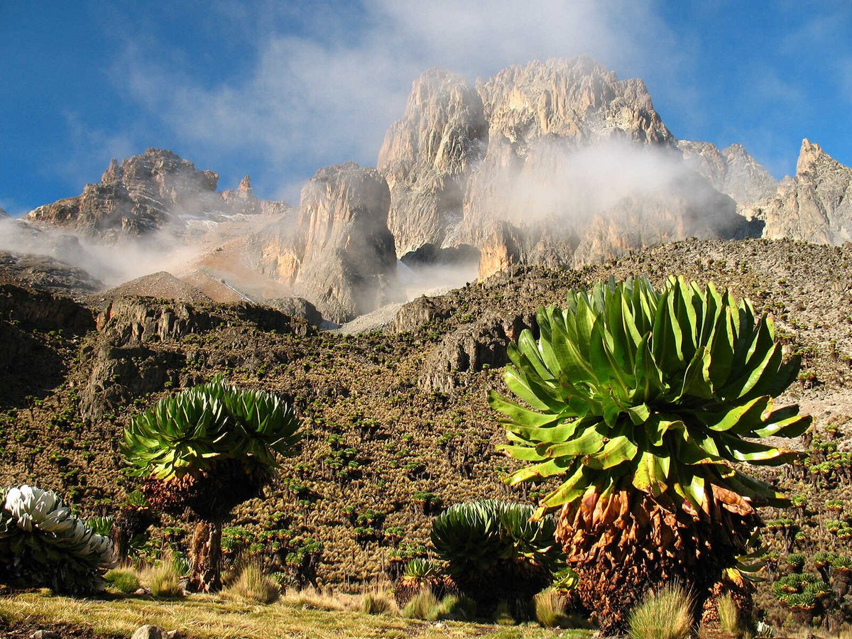 Mount Kenya is the highest mountain in the country (5199 meters above sea level) and the source of the state’s name. It is the second-highest mountain on the continent, after Kilimanjaro. This mountain is surrounded by Mount Kenya National Park founded in 1949,