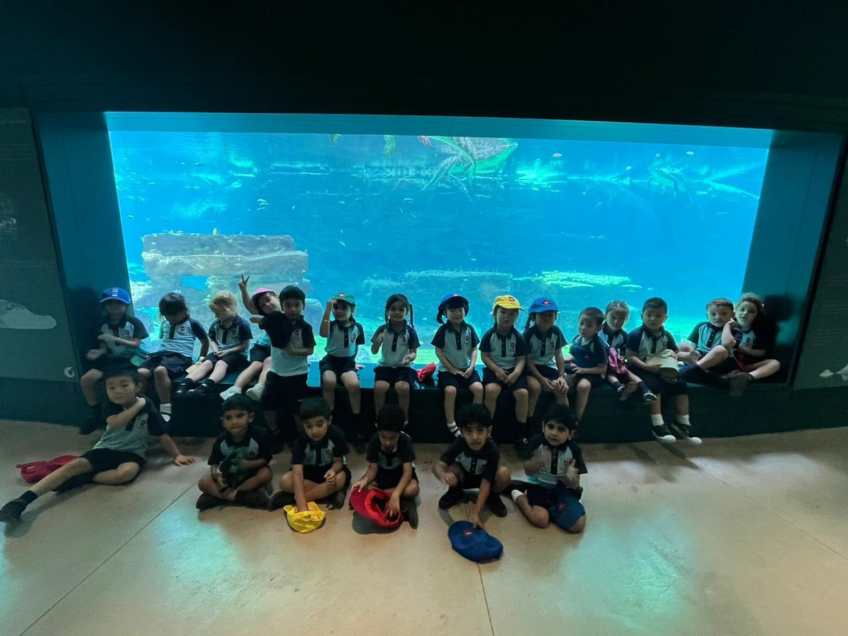 Last week FS1 visited the Crocodile park, they learnt many facts about crocodiles and were able to feel real crocodile eggs and see skeletons and fossils of their passed. The children were amazed by how big they can grow and how many eggs they can lay.