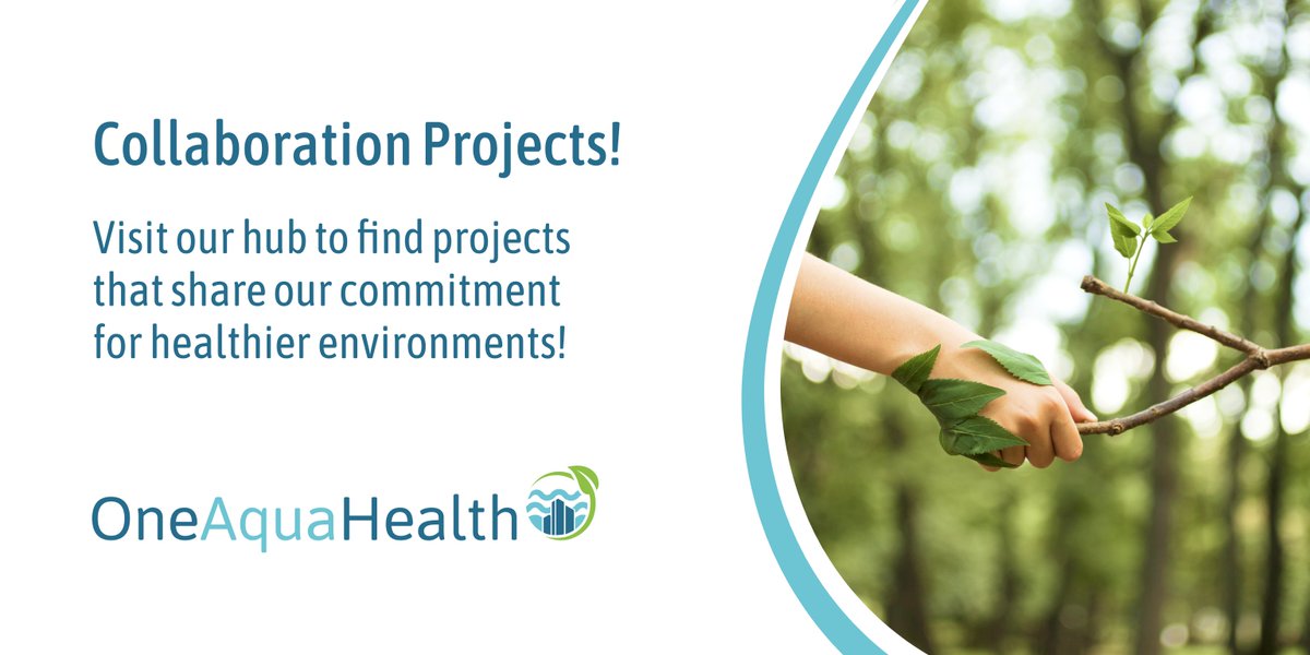 Get to know 𝗦𝗜𝗥𝗘𝗡𝗘! 👥📲🧜‍♀️

The project supports the growth of #socialinnovation ecosystems for eco-friendly & sustainable community-based services for Smart Healthy Age-Friendly Environments (#SHAFE)!  #smartliving #cocreation

👉See more: oneaquahealth.eu/collaboration/