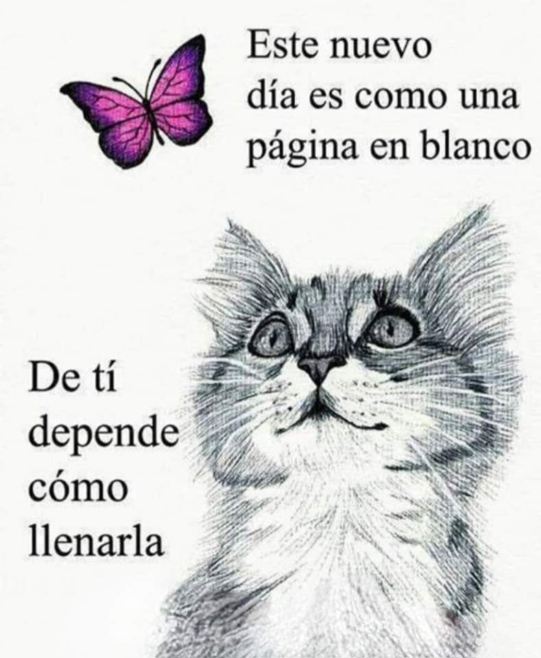 Lunes de Solidaridad 🪻 @PEDROGRILLOROJA @yamilaosorio @FioreMolinelli @FernandoArmasCa @MesiasGuevara @anajarav @ocosava @DeltaMdelta @julianaoxenford @Bunker_pe @EjercitoPeru @ChristophAvilaR @materesadulanto