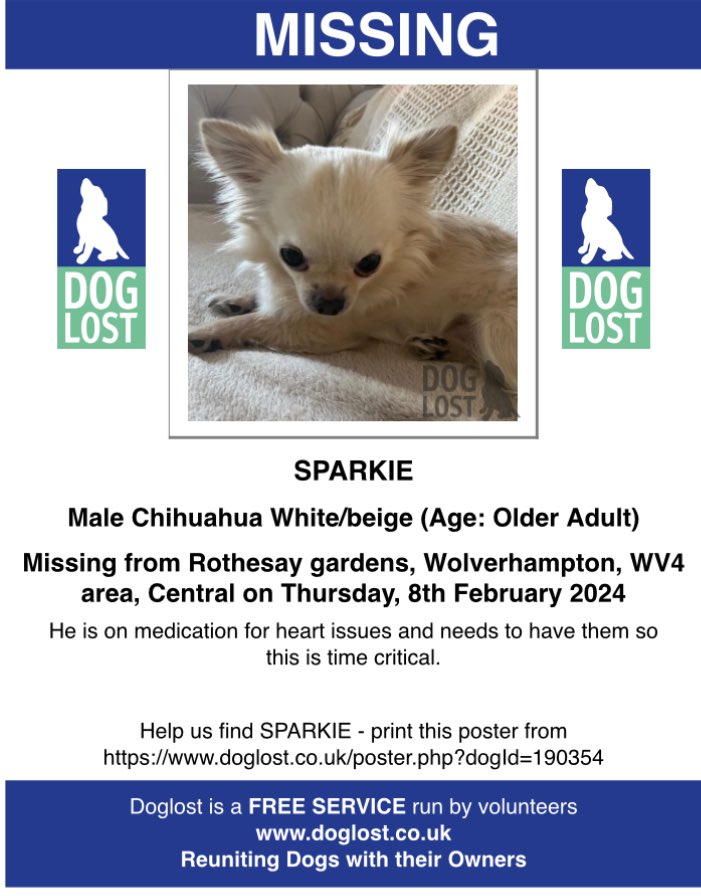 SPARKIE Male #Chihuahua Older Adult Disappeared from Rothesay gardens, #Wolverhampton, WV4 area, 8th February 2024 On medication for heart issues Has he been to a vets for treatment? #MakeChipsCount #ScanMe #FernsLaw #PetAbduction #TheftByFinding doglost.co.uk/dog-blog.php?d…