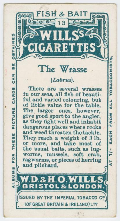 The wrasse (Labrus).
Fish & bait (Wills's Cigarettes)
#Fishing #Vintage #CigaretteCards 
observationdeck2.blogspot.com/2024/05/the-wr…
