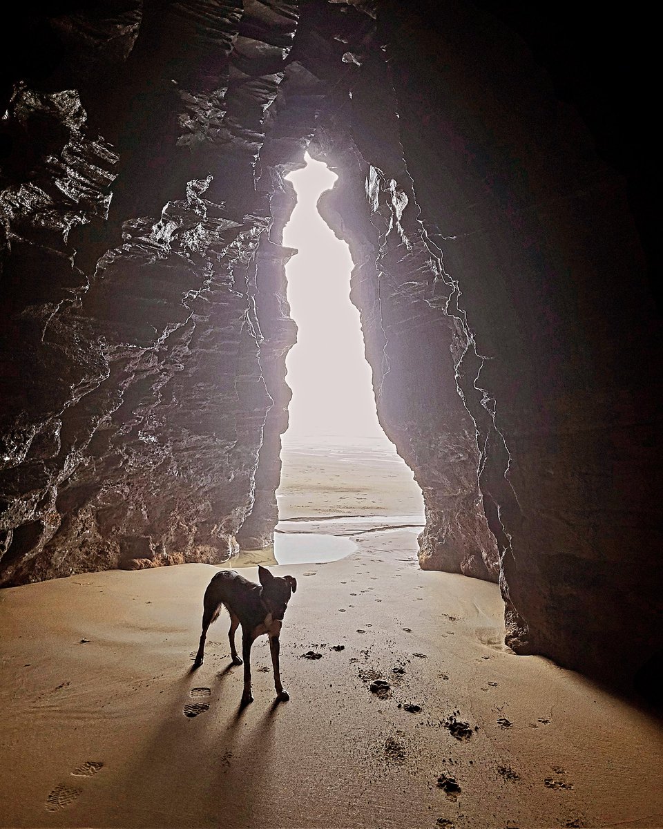 Lookong out on a foggy morning from a sand floored sea cave, Ballybunion.
County Kerry, Ireland.