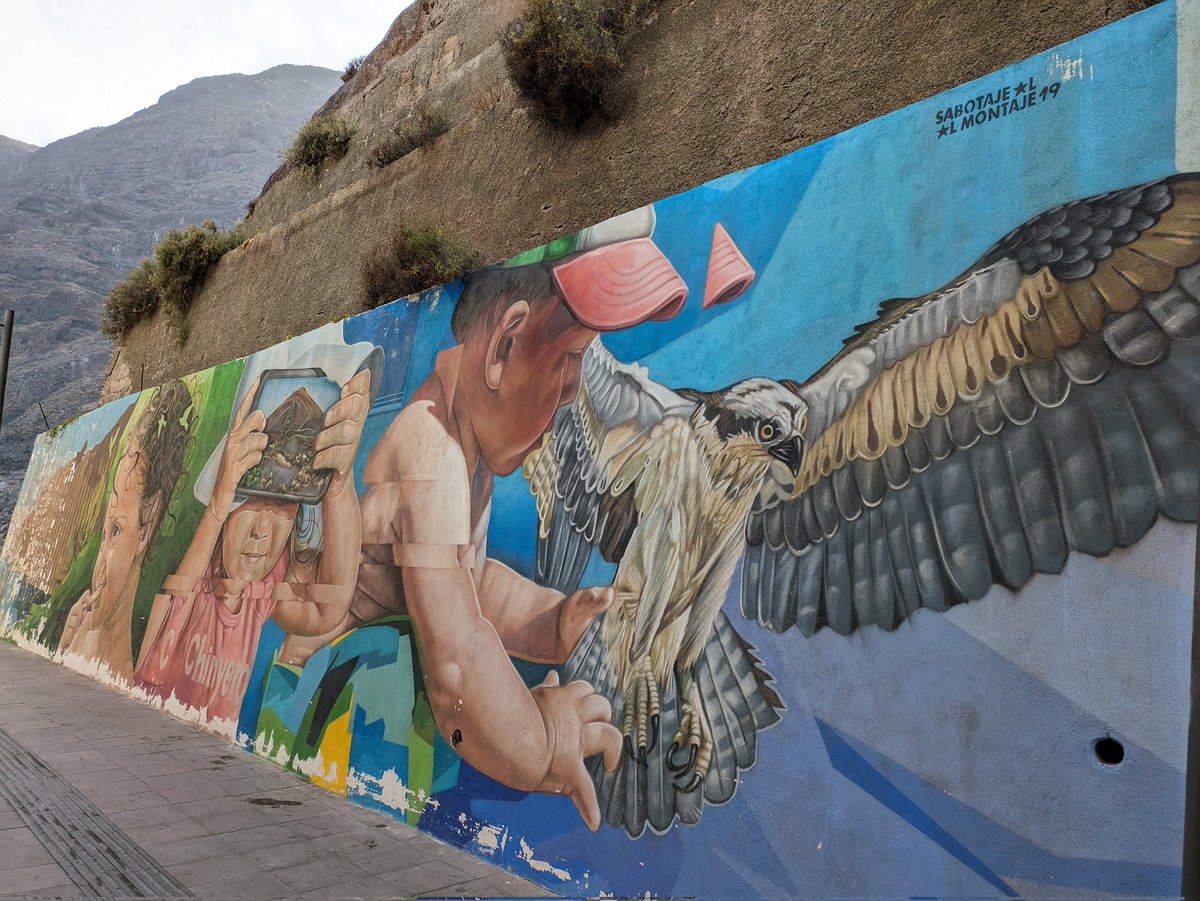 For #MuralMonday it's a grey bank holiday so I blame @LizzieHelenMay Seen at Los Gigantes 🇪🇸 apparently there are 4 pairs of Osprey nesting on the cliffs here but I didn't see them🦅😉