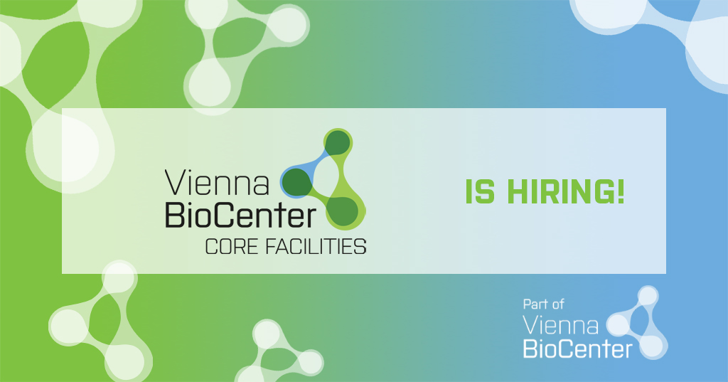 Summerjob available! Core technician (f/m/d, 40 hr/week, Jul-Aug) to support the Vienna Drosophila Resource Center team over the summer period. The position is particularly suited to students wishing to gain work experience. Read the full job ad here: lnkd.in/d5PZRqaQ