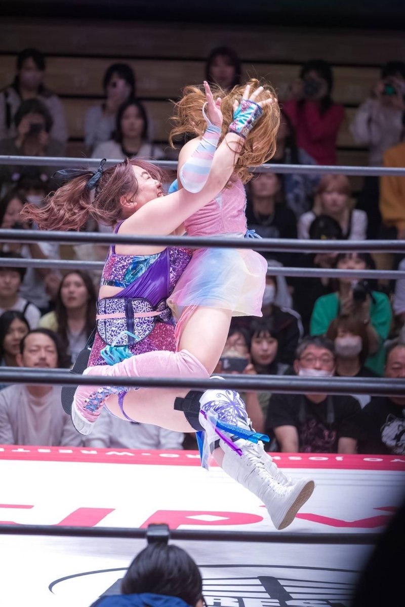 haru_tjpw tweet picture