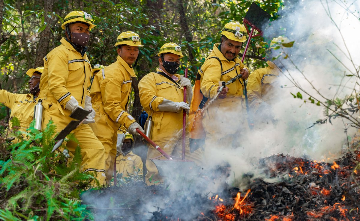 Following the trainings, trained representatives from Mahalaxmi & Chandragiri Municipalities, have actively participated in containing recent forest fire outbreaks. Forest fire-line cleaning campaign were also initiated by local community forest user groups. @USAIDCleanAir