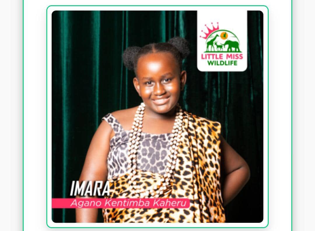 Help me vote this young queen for Little Miss Wildlife 2024 

Vote by following this link africavotes.com/p/little.miss.… 

#AfricaVotes via @africa_votes