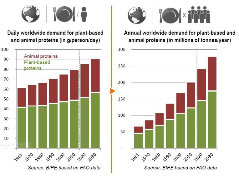 Plant Based Demand