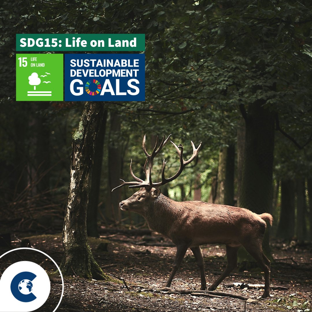 May spotlights @UN #SDG15: Life on Land. Diverse ecosystems are vital for a healthy planet, absorbing CO2 and fighting #climatechange. Visit our marketplace to learn more: lnkd.in/djRVnha9