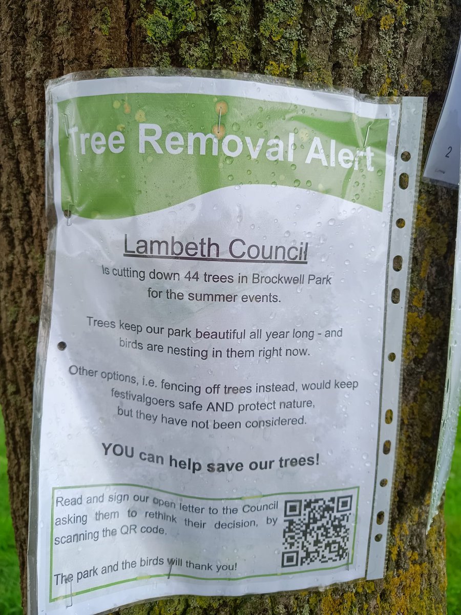 #Lambeth #Council intend to cut 44 trees down in #BrockwellPark
To help private companies,,,