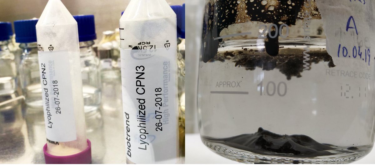 📣 So happy to announce that our paper regarding #microbial response to a port #oilspill is out now🙌 #PhD #Bioremediation #Consortium 🔬🧫 @CiimarUp @ICBAS_UPorto 📲 sciencedirect.com/science/articl…