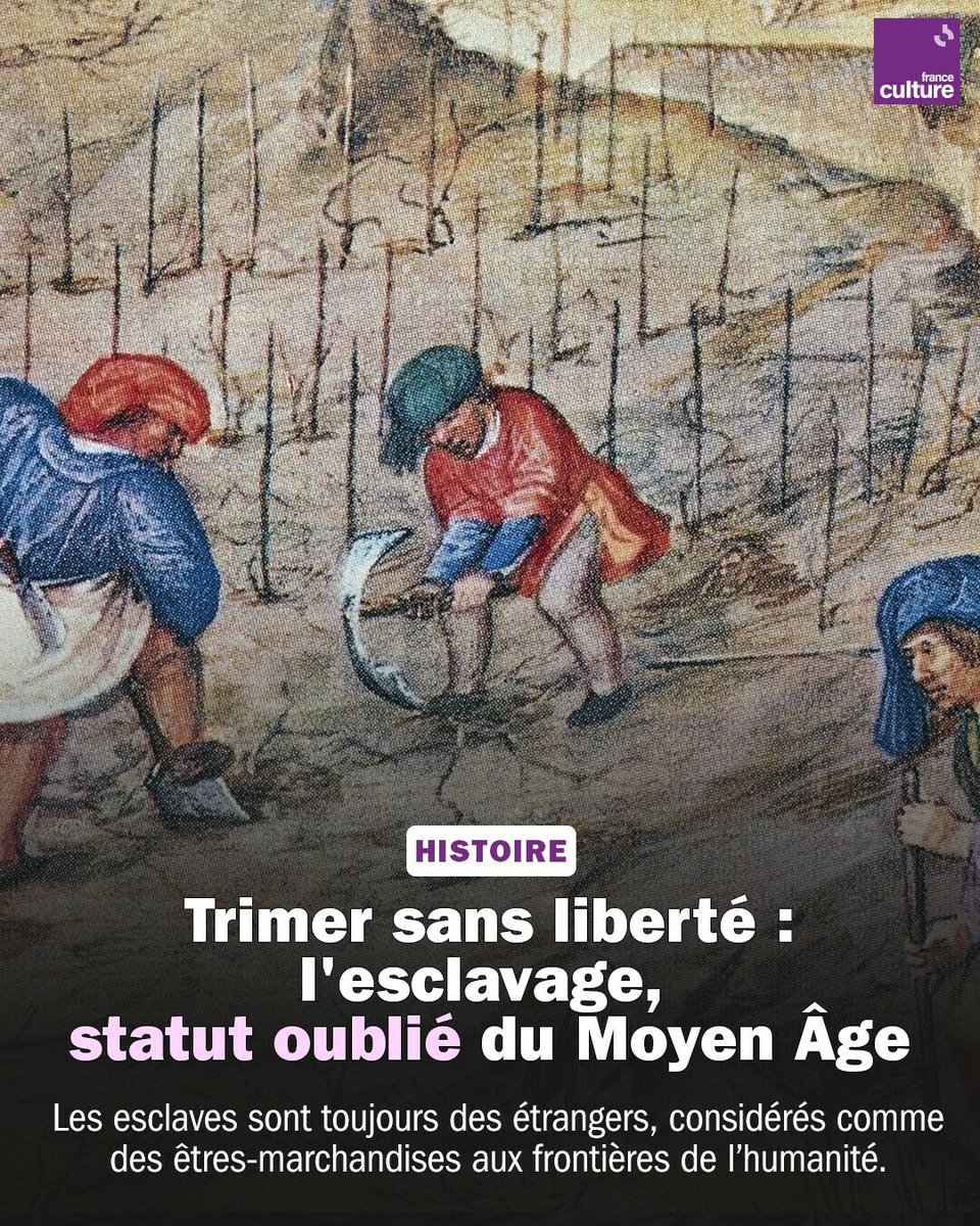 Rarement enseigné et peu connu, l’esclavage médiéval a longtemps été passé sous silence. Son statut a disparu derrière la figure du serf. ➡️ l.franceculture.fr/vEU