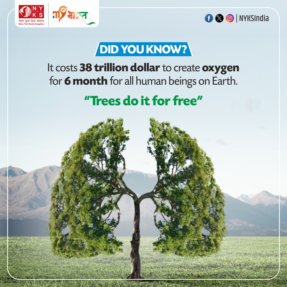 Did you know? It costs a whopping $38 trillion to create enough oxygen for 6 months for everyone on Earth. Luckily, trees do it for free! 🌳💨 Let's value and preserve our natural air purifiers. #NatureFact #TreesMatter #SaveOurPlanet