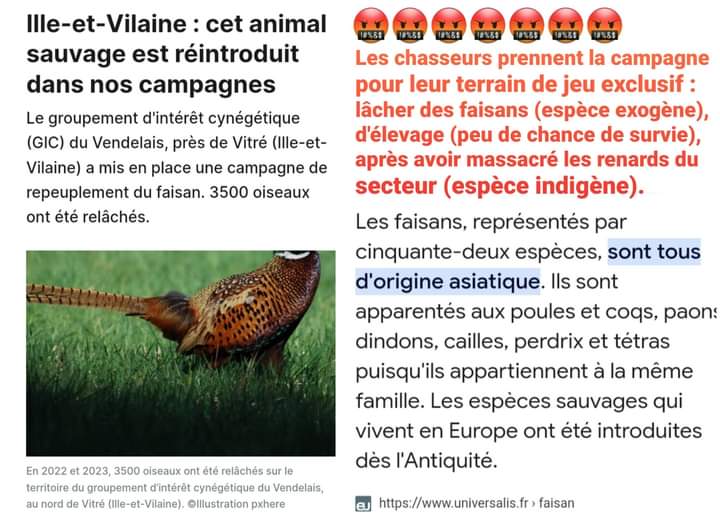 Introduction ou élimination d'espèces selon leurs caprices : voilà comment les chasseurs 'gèrent' la biodiversité !