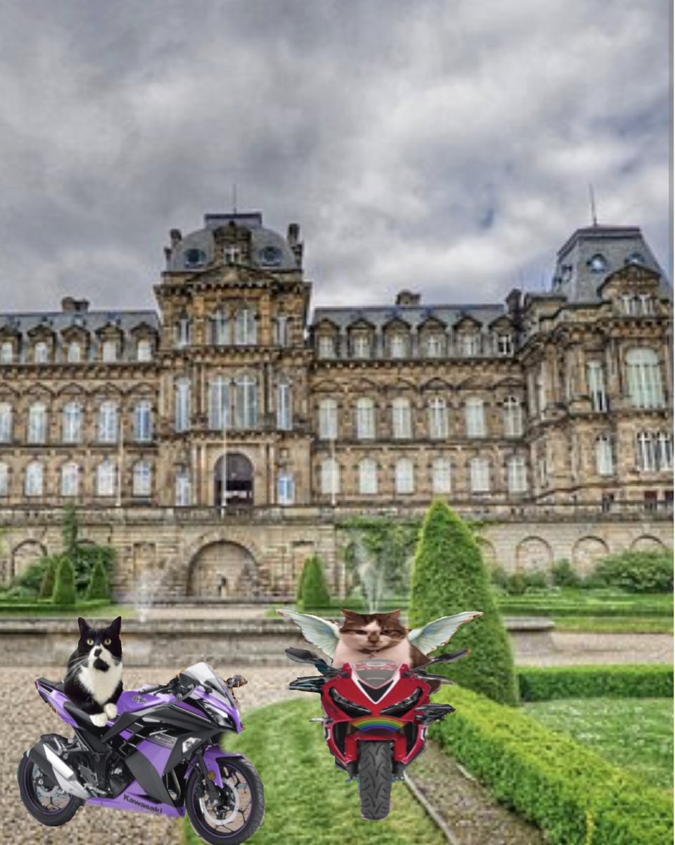 #Hedgewatch @JudithandTinks Here we are at the Bowes museum. We're gonna take a cheeky poop in the borders & head inside to check it out. *Helps Tinks down* 🐾💜🤘