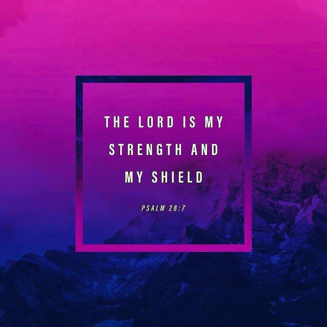 God is my strength and my shield. I will not be afraid. ❤ #godismystrength #nofear #godiswithme #youversion