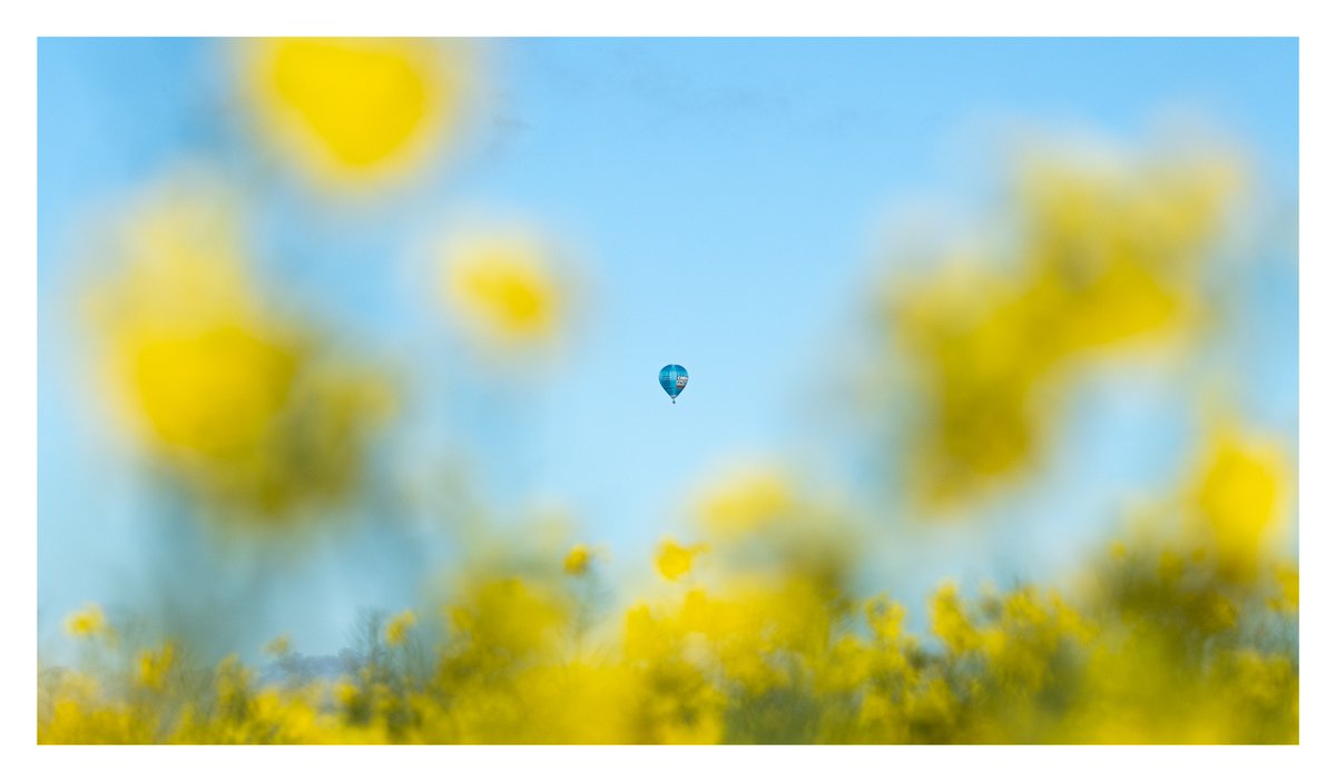 Up!
#fsprintmonday #Sharemondays2024