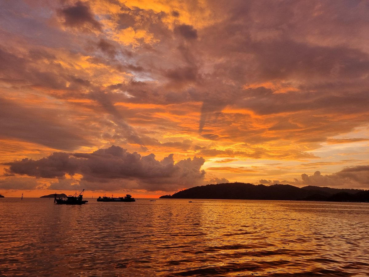 Jessica Haysom, PhD tweet media