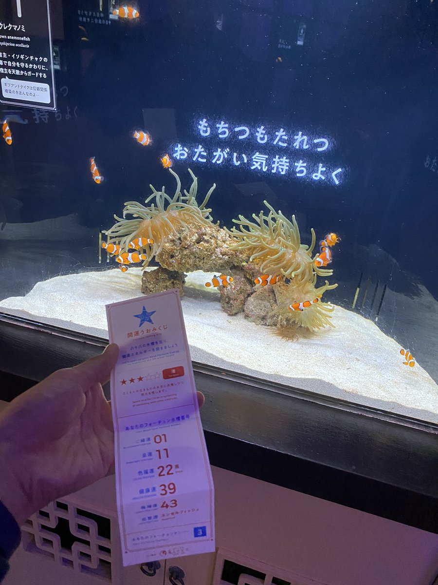 横浜中華街にある水族館
見てて面白いから行くべき
 #横浜開運水族館フォーチュンアクアリウム