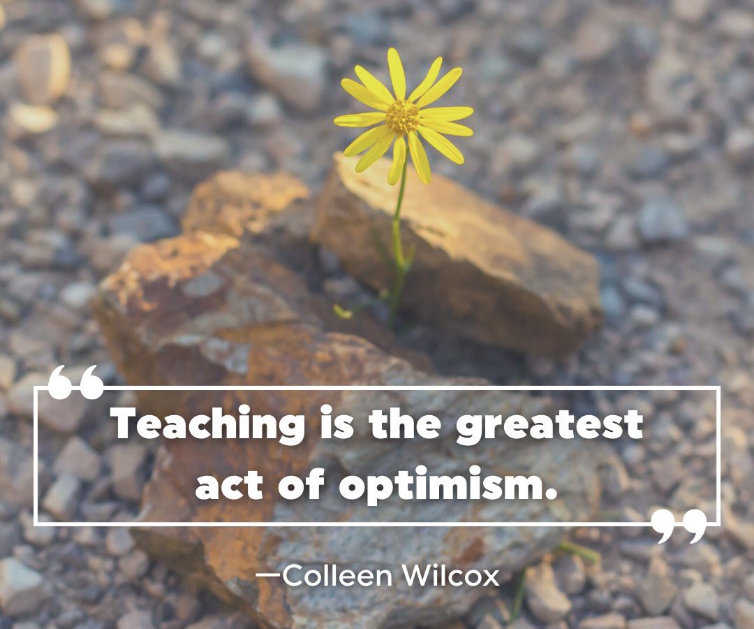 Happy #TeacherAppreciationWeek ! T @iamnoadaniel H @PavWander A @mrccheney N @donna_mccance K @McMenemyTweets S @mrswilliams21c T @techmidschteach E @danismith1979 A @NowakRo C @Shapiro_WTHS H @MrsHayesfam E @dlguerin1 R @melanie_korach S @LaurenMKaufman @Celyendo @tamaraletter