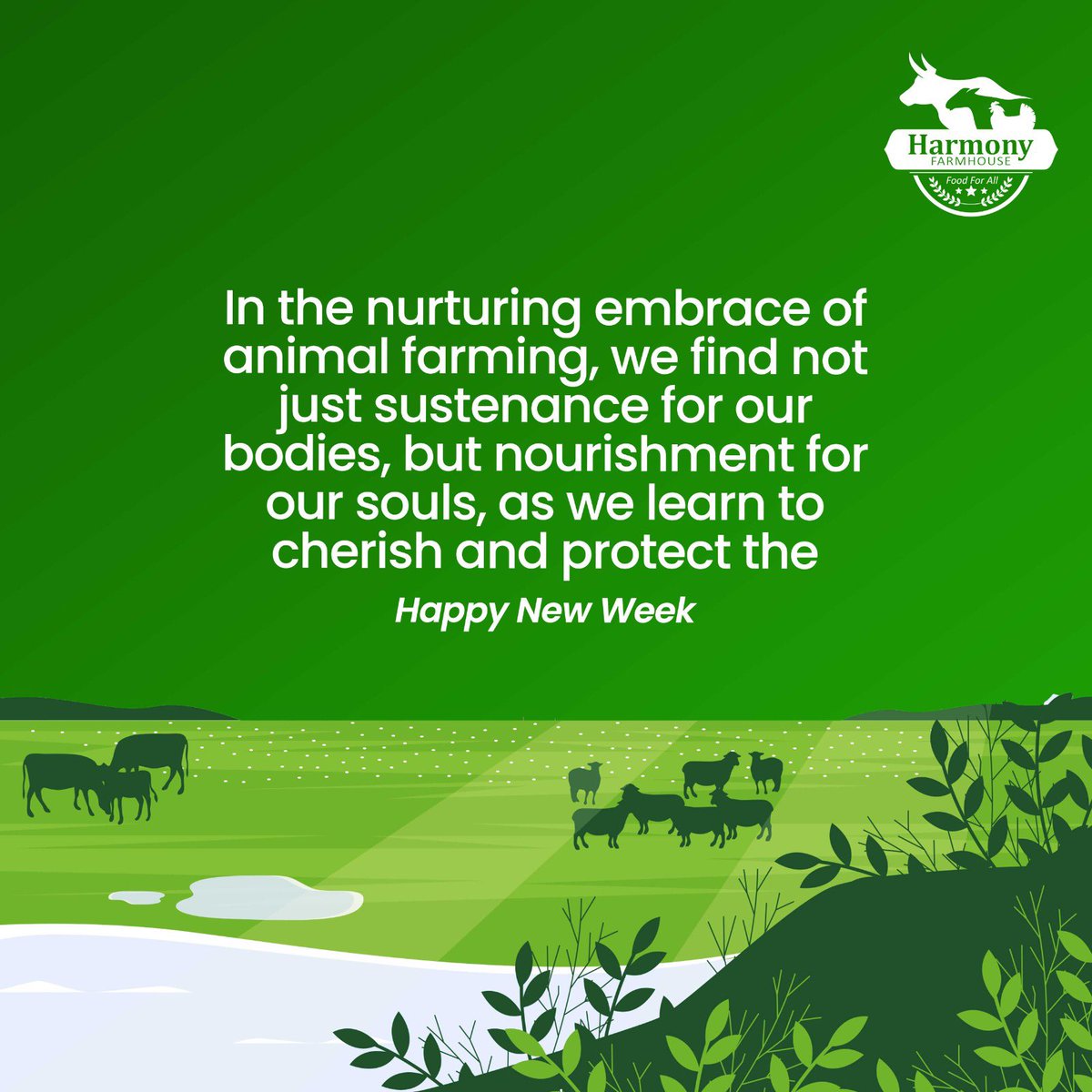 Feel the farm vibes this Monday! We’re not just raising animals; we’re shaping futures. Let’s make it count! #harmonygroupng #farminglife #farminglife🌾👨‍🌾 #harmonyfarms #mondaymotivation