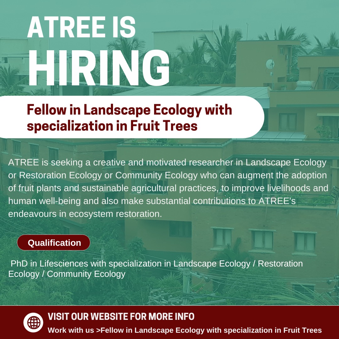 ATREE is seeking a researcher in Landscape Ecology / Restoration Ecology/Community Ecology who can augment adoption of fruit plants & sustainable agricultural practices, to improve livelihoods & human well-being. More details: atree.org/job/fellow-in-… #hiring