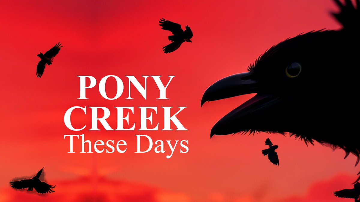 Pony Creek Band tweet media