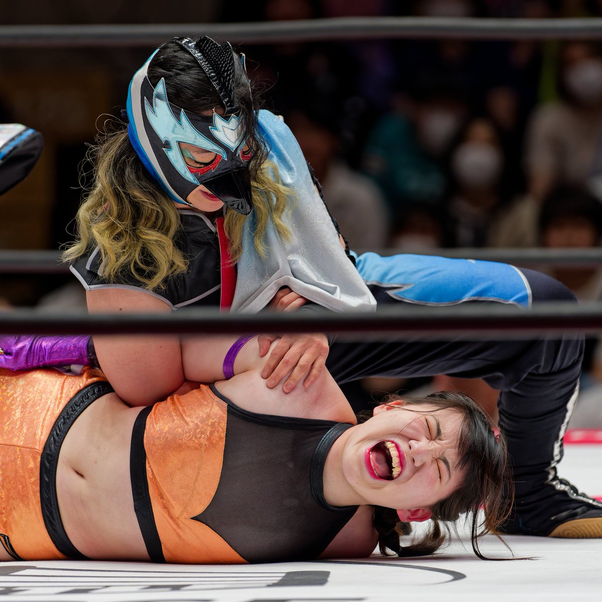 2024.5.6 後楽園ホール

#tjpw #鳥喰かや #宮本もか #桐生真弥 #七瀬千花